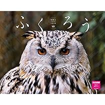 カレンダー2026 ふくろう（月めくり/壁掛け/北海道 鳥） (ヤマケイ